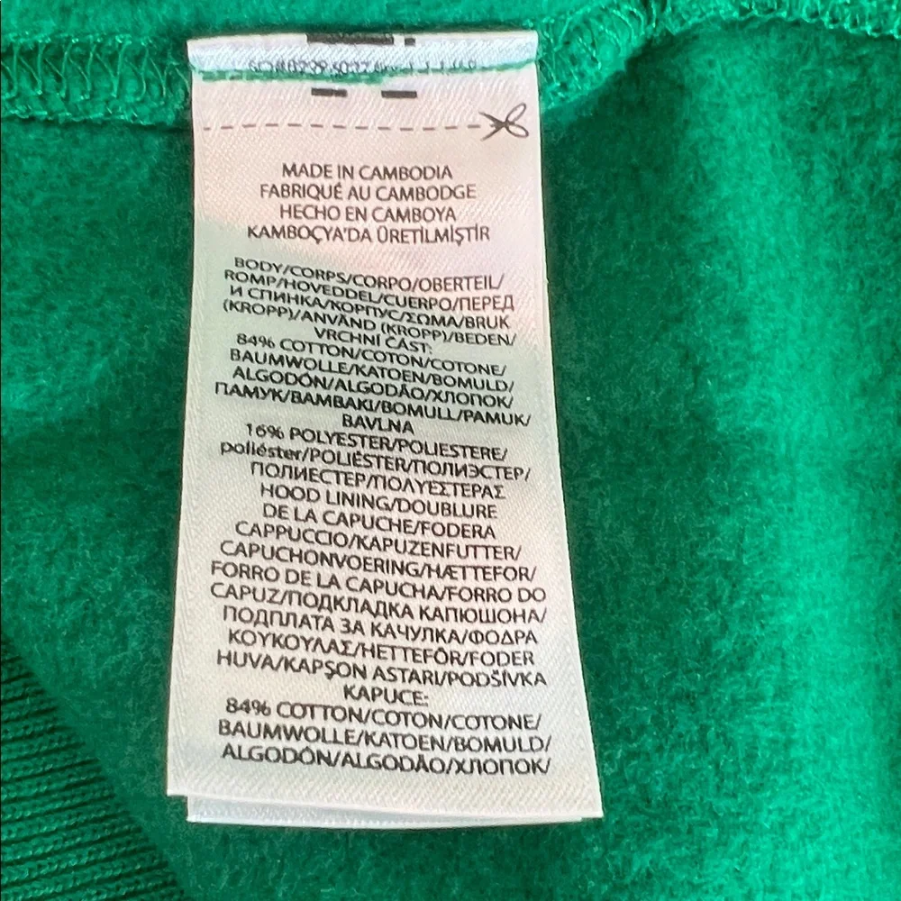 🎉Host Pick🎉Polo Ralph Lauren Green Multi Polo Bear Hoodie XL - Picture 8 of 10
